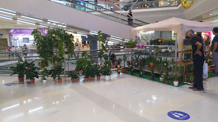 Tu Planta Barata