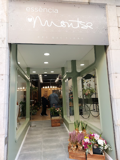 Essència Montse