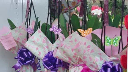 Floristeria Myriam