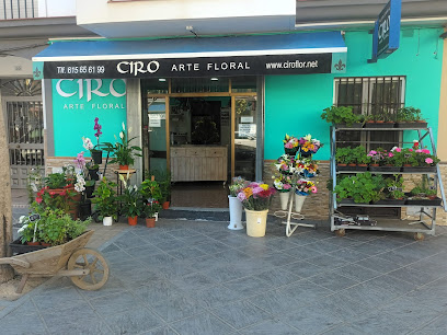 CIRO Flor - Chipiona