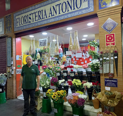 Floristería Antonio - Sevilla