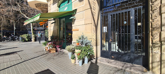 Au nom de la rose Barcelona