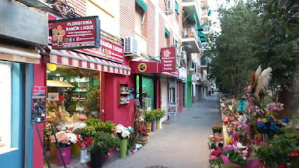 Floristería Córdoba Ramón Luque