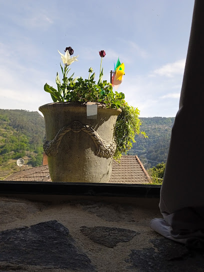 Floristería Bonsai