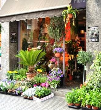 Floristería Jacaranda