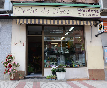 Floristería Hierba de Nácar - Guadalajara