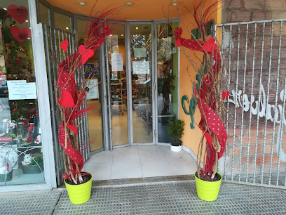 Flores Gálvez
