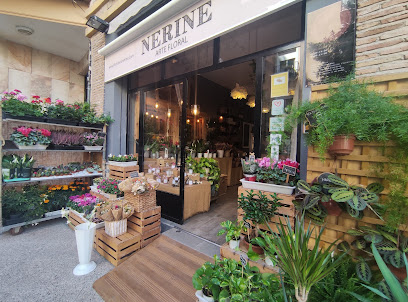 Floristeria Nerine Arte Floral