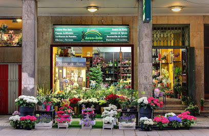 Floristería Arco Iris Sama