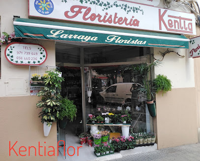 FLORISTERIA KENTIAFLOR FLORES A DOMICILIO