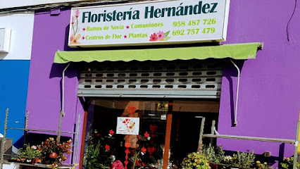 Floristeria Hernández - Cenes de la Vega