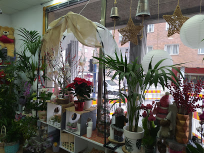 Floristería Bromelia