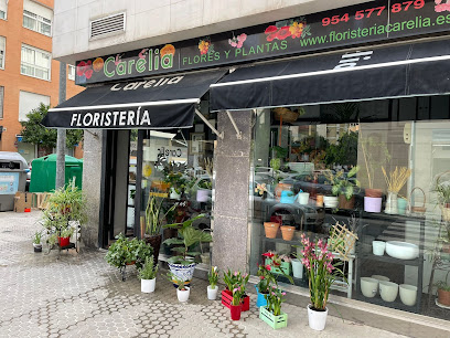 Floristería en Sevilla Carelia