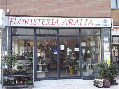 Floristería Aralia - Ávila