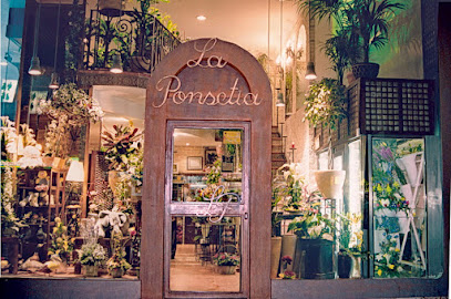 La Ponsetia