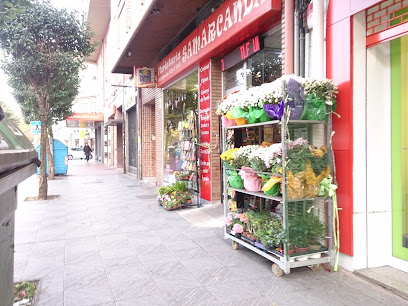 Floristería Samarcanda