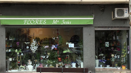 Flores María Jesús - Salamanca