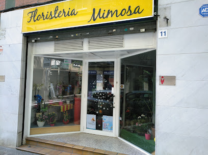 Florist Mimosa - Girona
