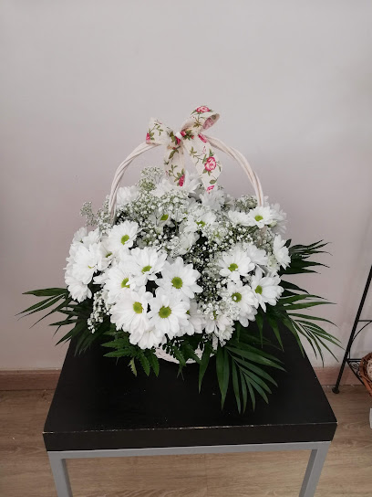 Sabela Arte Floral