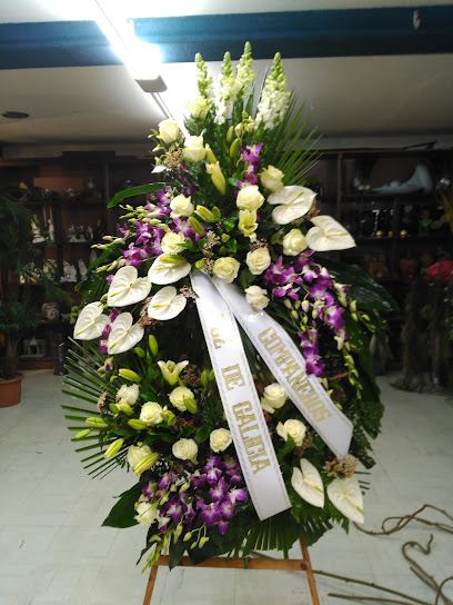 Floristería Elena