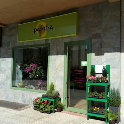 Pagotxa floristería