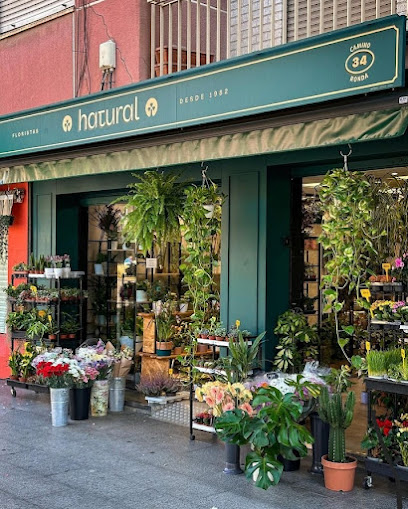 Floristería Granada - Floristas Hatural