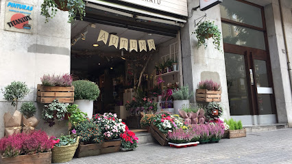 florestore floristería