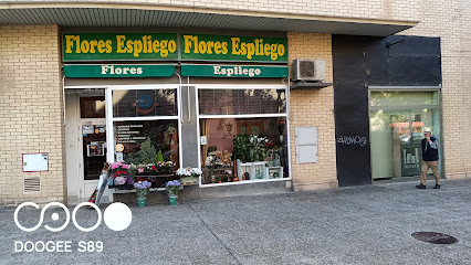 Espliego S.Cv.