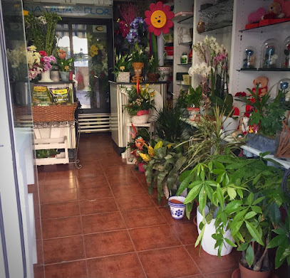 Floristería Natalia Flor