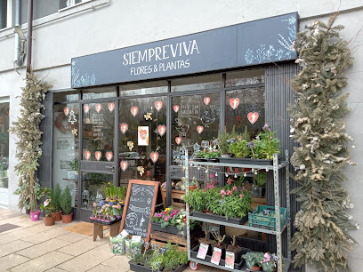 Siempreviva flores y plantas