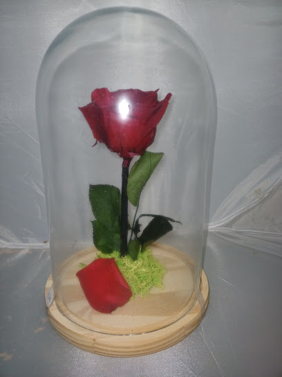 Floristería Mª Luisa
