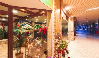 La Mandrágora floristería