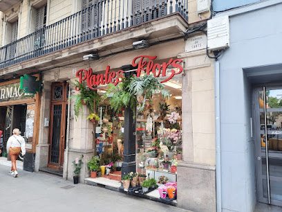 Floristeria Lloveras Barceló