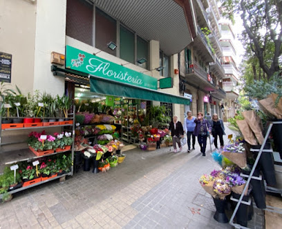 Bausà Flors s.l.u