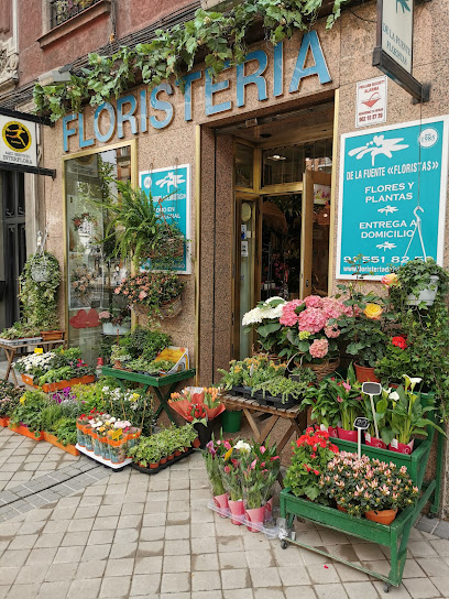 DE LA FUENTE Floristas