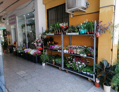 Floristería Valenflora - Málaga