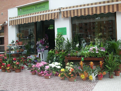 Floristería Antonia Bueno