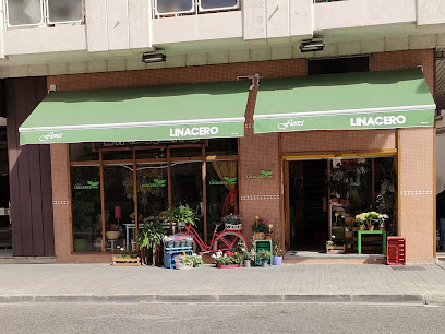 FLORES LINACERO