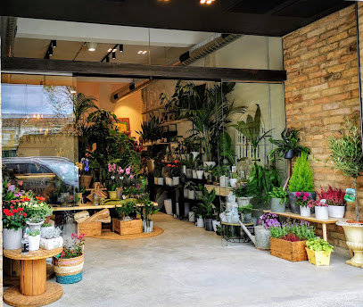 Floristería Romanos
