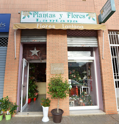 Flores Lantana