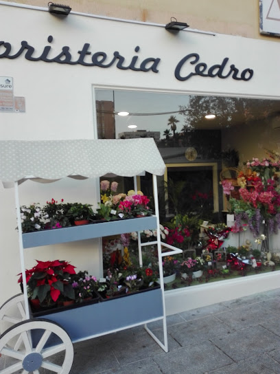 Floristería Cedro