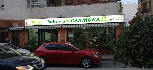 Floristería Carmona - Almería