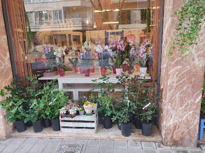 Floristería Las Palmeras