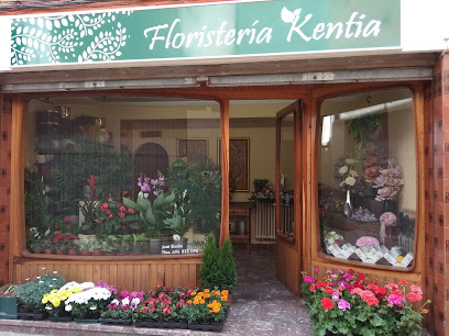 Floristería Kentia - Fitero