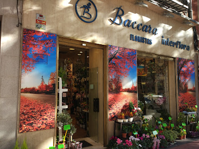 Baccara Floristas - Madrid