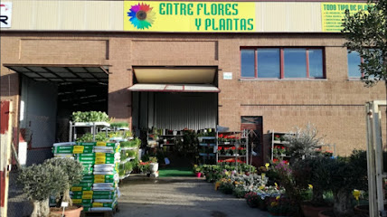 Entre Flores y Plantas