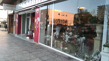 Flores Lázaro Baeta